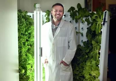 Jonathan Gilbert Growing Lettuce