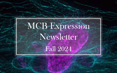 MCB Expression Newsletter Graphic