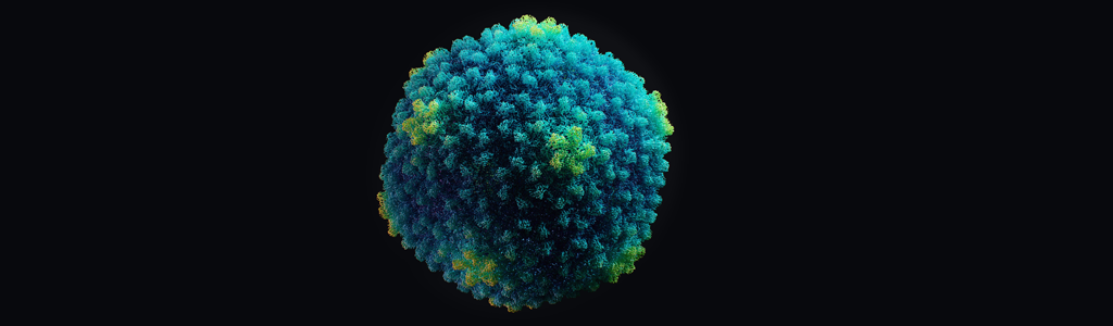 The expanded capsid of bacteriophage P22 at a resolution of 3,6 angstroms. (Makayla Leroux)