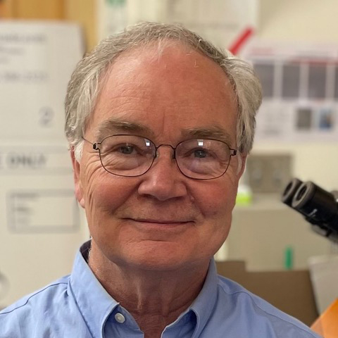 Headshot of Michael Lynes